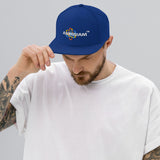 ANERDIAM Snapback Hat